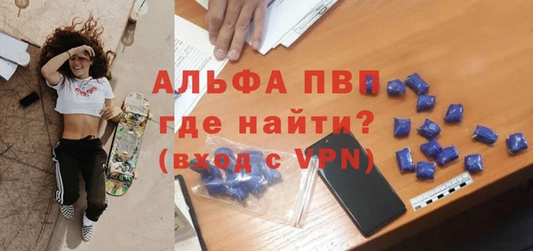 стафф Арсеньев