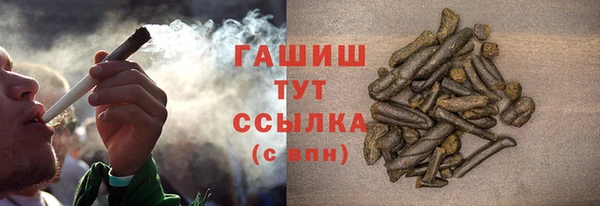 стафф Арсеньев
