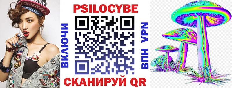 Псилоцибиновые грибы Cubensis  Спас-Клепики 